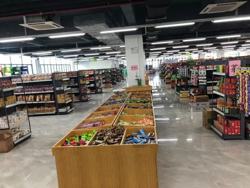 惠州伯恩電子廠電器輔件銷售業(yè)務解析 質量、服務與市場前景